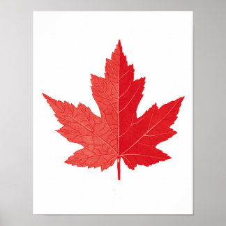 Hoja de arce roja Canadá Día de la impresión no.11