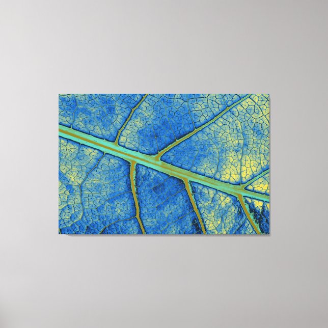 Hoja de arte 5 (Anverso)