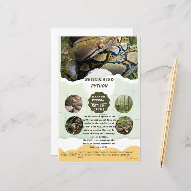 Hoja De Atención De Python Reticulado (Anverso/Reverso In Situ)