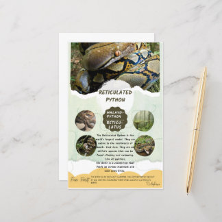 Hoja De Atención De Python Reticulado