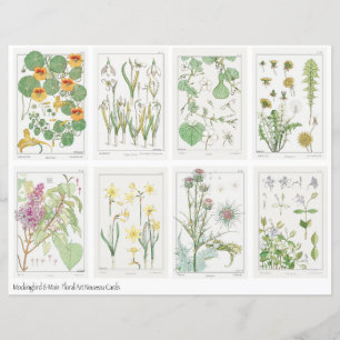 Hoja de Collage de Flores Art Nouveau Verneuil 