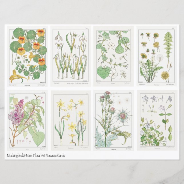 Hoja de Collage de Flores Art Nouveau Verneuil  (Anverso)