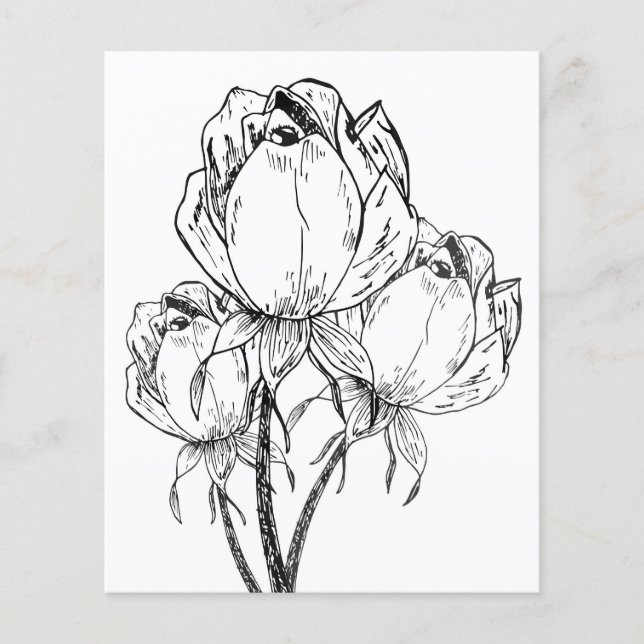 Hoja de Coloración de rosas (Anverso)