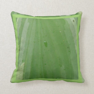 hoja de hosta, almohada verde casi sólida