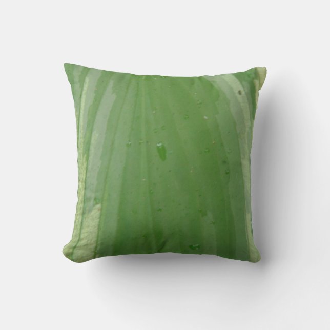 hoja de hosta, almohada verde casi sólida (Anverso)