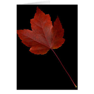 Hoja de la caída