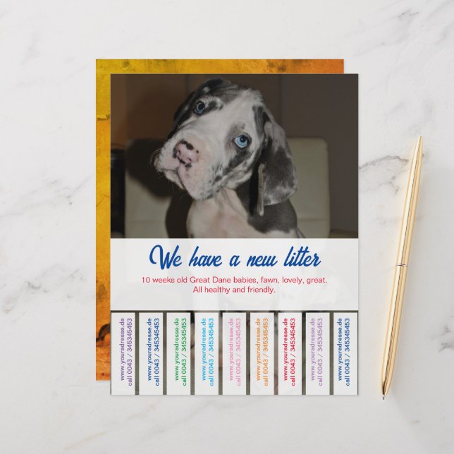 Hoja de papel (Anverso/Reverso In Situ)