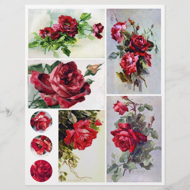 Hoja de papel (Anverso)