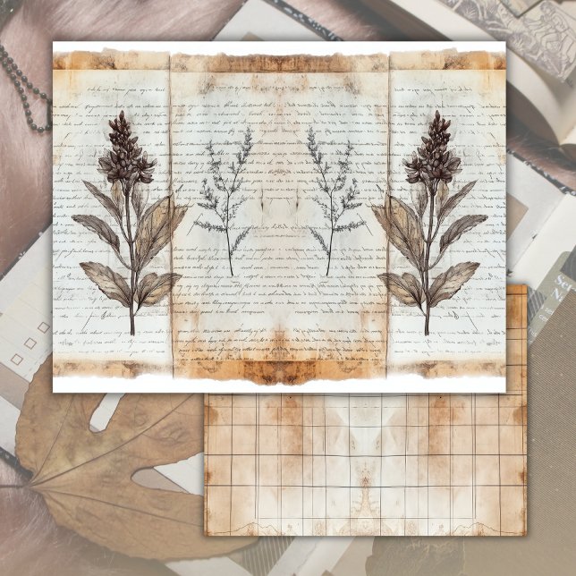 Hoja de papel antigua del diario basura botánica (Subido por el creador)