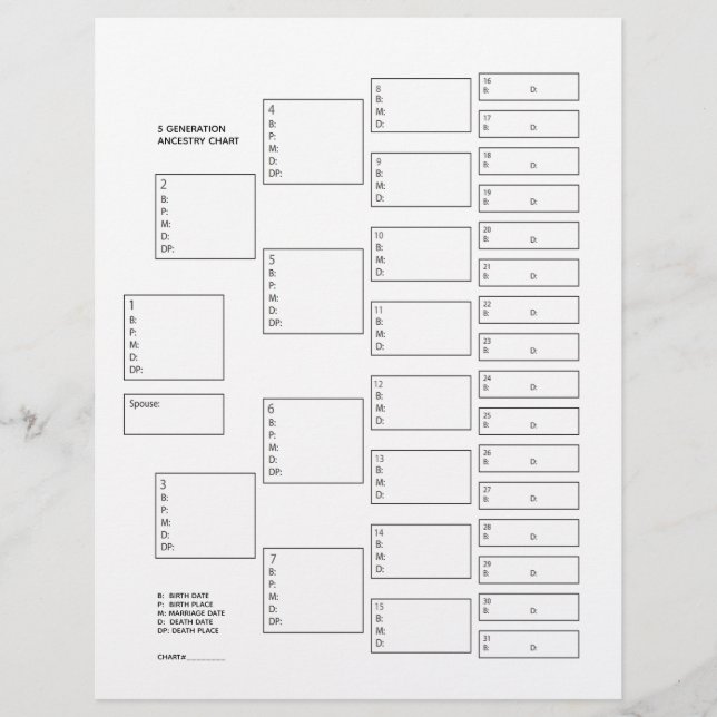 Hoja de papel de 5 generaciones para pedigrí genea (Anverso)