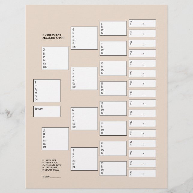 Hoja de papel de 5 generaciones para pedigrí genea (Anverso)