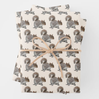 Hoja de papel de envolvimiento de ardilla adorable