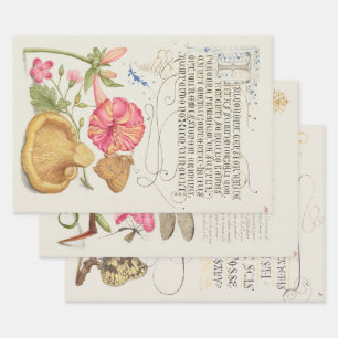 Hoja De Papel De Regalo 3 escenas de jardín vintage diferentes Flores, Ins