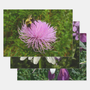 Hoja De Papel De Regalo Abeja en Cardo