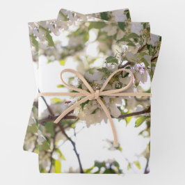 Hoja De Papel De Regalo abeja floral