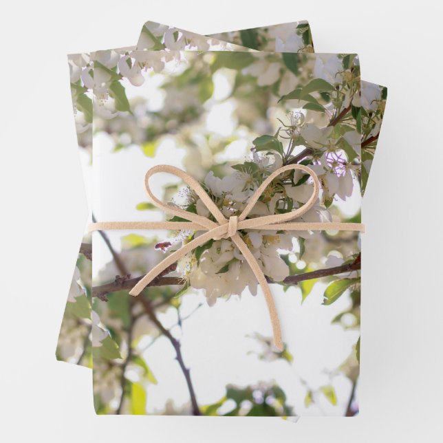 Hoja De Papel De Regalo abeja floral (In situ)