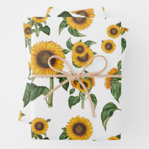 Hoja De Papel De Regalo Acuarela girasoles vegetación vegetal