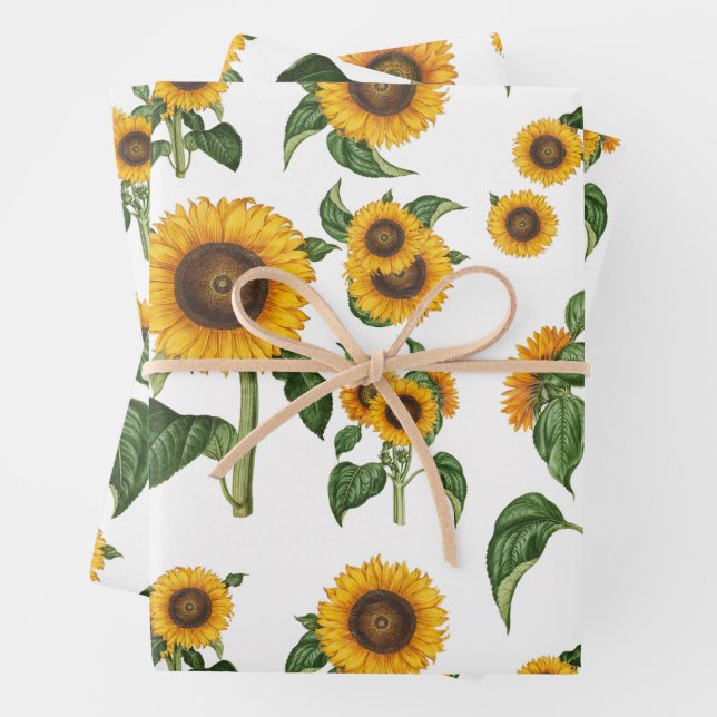 Hoja De Papel De Regalo Acuarela girasoles vegetación vegetal (In situ)