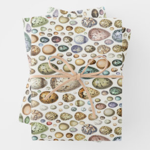 Hoja De Papel De Regalo Adolphe Millot Ouefs Eggs