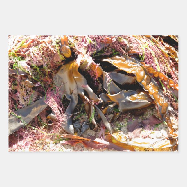 HOJA DE PAPEL DE REGALO ALIMENTACIÓN (Anverso)