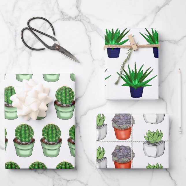 Hoja De Papel De Regalo Amantes de la planta dibujan cacti y suculentos (Anverso)
