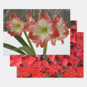 Hoja De Papel De Regalo Amaryllis en floral de invierno en la nieve roja f