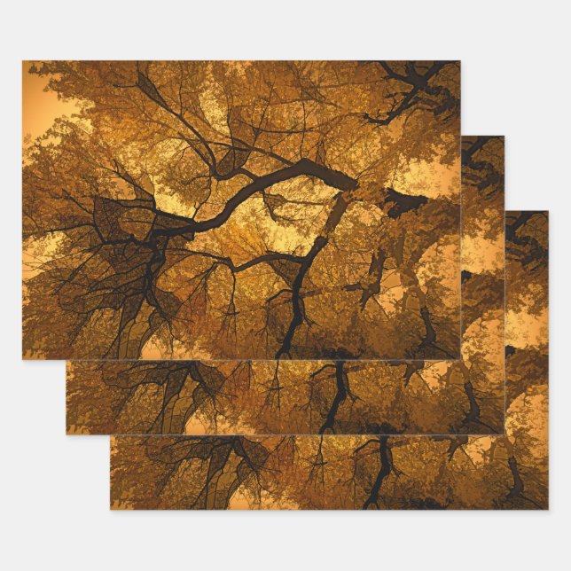 Hoja De Papel De Regalo Amber Naranja Brown, Árbol de otoño, deja atardece (Set)