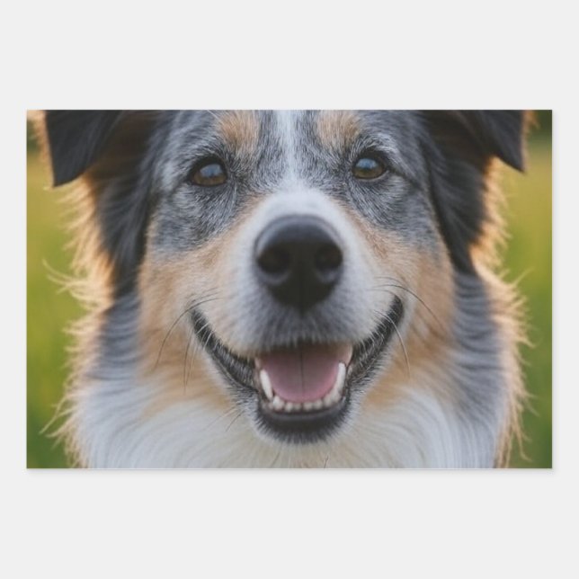 Hoja De Papel De Regalo Añadir Personalizar de fotografía Mascota (Anverso)