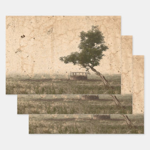 Hoja De Papel De Regalo Árbol de campo rústico granja antigua beige