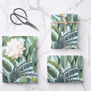 Hoja De Papel De Regalo Árbol de plátano de selva tropical verde Strelitzi