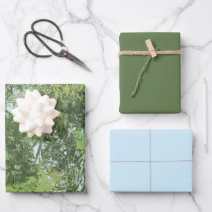 Hoja De Papel De Regalo Árboles de hoja verde con cielo azul asomando a tr
