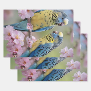 Hoja De Papel De Regalo Armonía de primavera: periquitos azules y amarillo