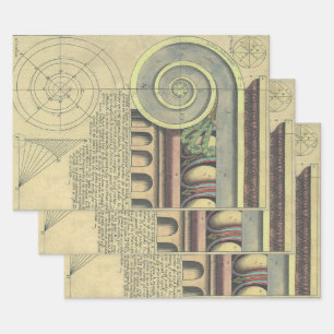 Hoja De Papel De Regalo Arquitectura Vintage; Voluta Capital por Vignola