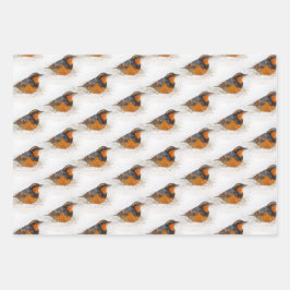 Hoja De Papel De Regalo Arroganzas variadas y ermitañas y aves de gaviota 