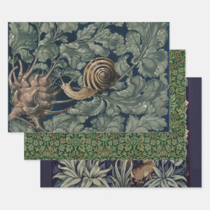 Hoja De Papel De Regalo Arte Antiguo Botánico Art Nouveau Caracol Antiguo
