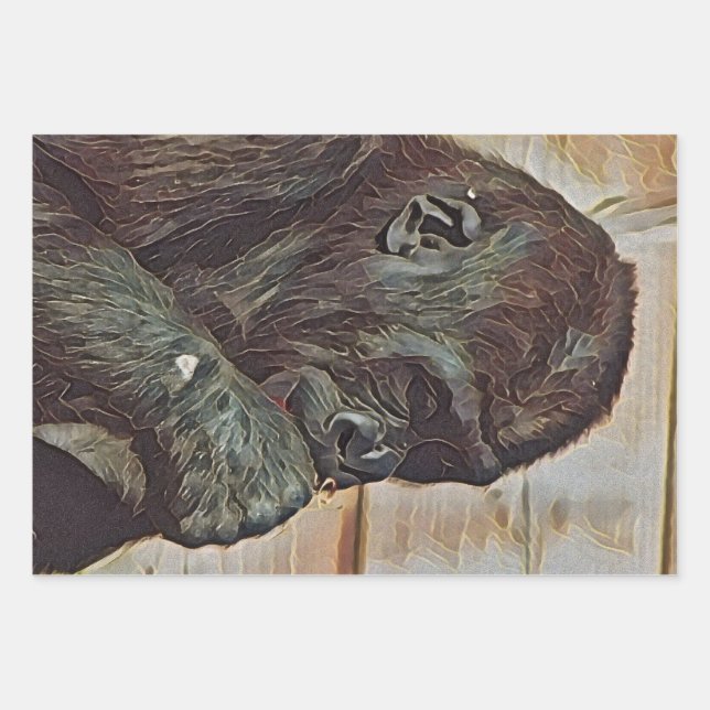 HOJA DE PAPEL DE REGALO ARTE DE CHIMPANCÉ (Anverso)