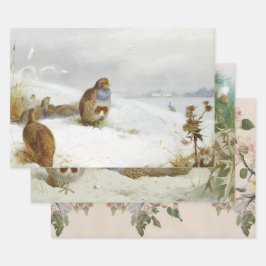 Hoja De Papel De Regalo Arte de ilustraciones de aves vitícolas