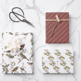 Hoja De Papel De Regalo Aves de jardín en ramas y coordenadas