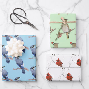 Hoja De Papel De Regalo Aves silvestres