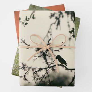 Hoja De Papel De Regalo Aves Tropicales