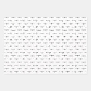 Hoja De Papel De Regalo Aviones antiguos PERSONALIZADO de Arte Aéreo COLOR