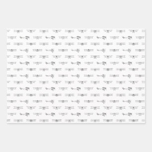 Hoja De Papel De Regalo Aviones de época PERSONALIZADO temática de aviació