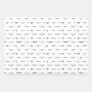 Hoja De Papel De Regalo Aviones de época PERSONALIZADO temática de aviació