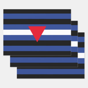 Hoja De Papel De Regalo Bandera de orgullo queer de cuero