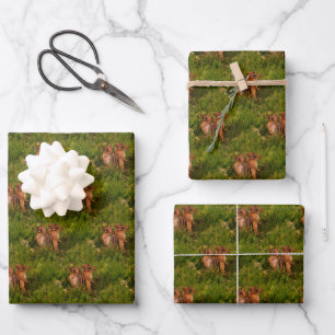 Hoja De Papel De Regalo Bebé Chipmunks Animal Nature Art