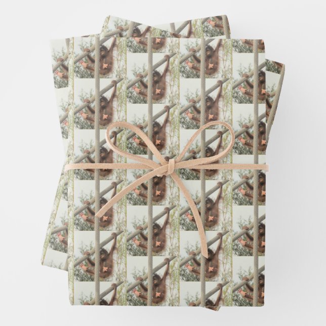 Hoja De Papel De Regalo Bebé de Orangutan en todas las ocasiones (In situ)