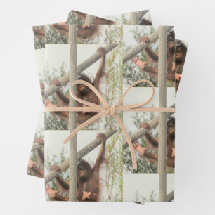 Hoja De Papel De Regalo Bebé de Orangutan en todas las ocasiones