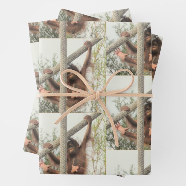 Hoja De Papel De Regalo Bebé de Orangutan en todas las ocasiones (In situ)