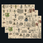 Hoja De Papel De Regalo Bee Insect Bug Wasp Natural History Bees<br><div class="desc">Bees and wasps illustration from an antique image from a Natural Histroy book from the mid-1800s,  this old image identifies different bee and wasp insects.</div>