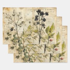 Hoja De Papel De Regalo Beige Vintage Watercolor Natural Wildflower